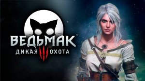 Ведьмак 3 Дикая Охота #28 | Mr. Cat | 2025 | На Смерть | Ласточка.