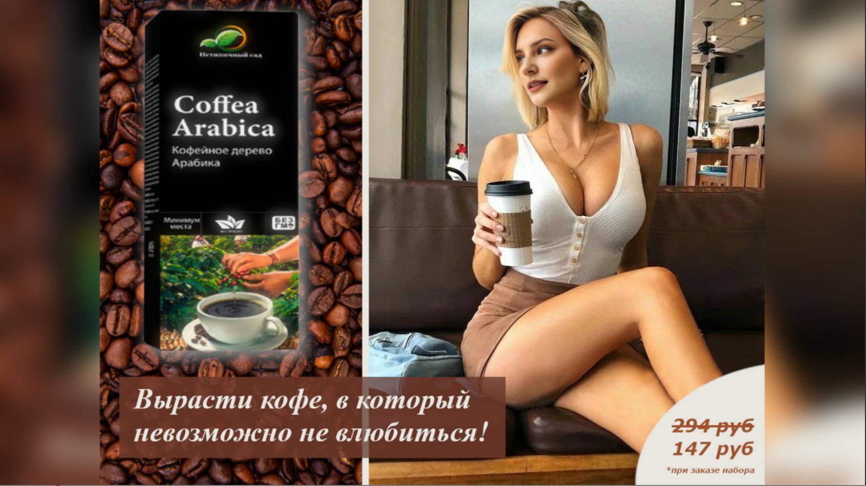 ☕Coffea Arabica — вырасти своё кофейное дерево дома 🌱