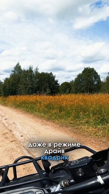 Тихий зверь ⚡️ смотреть онлайн