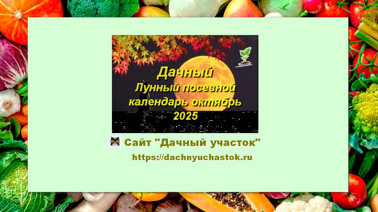 Лунный посевной календарь для садоводов и огородников на октябрь 2025 года смотреть онлайн