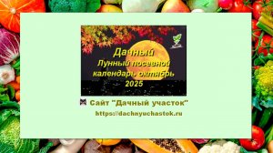 Лунный посевной календарь для садоводов и огородников на октябрь 2025 года