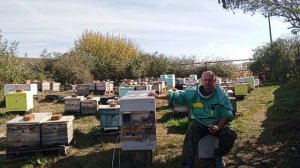 инкубатор для пчеломаток на заказ