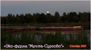 «Эко-ферма «Мечта-Сурсово»» - нашими глазами (окончание).