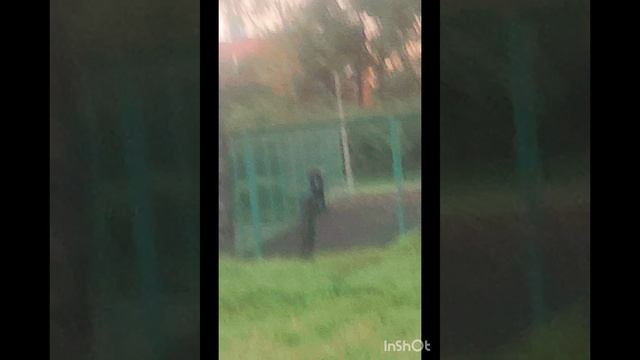 Беру себя за волосы и тяну на стадион.Моя пробежка после 55 лет по стадиону. смотреть онлайн