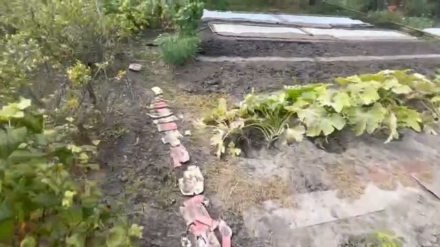 Продаётся готовая ухоженная дача в ДНТ «Береговое» смотреть онлайн