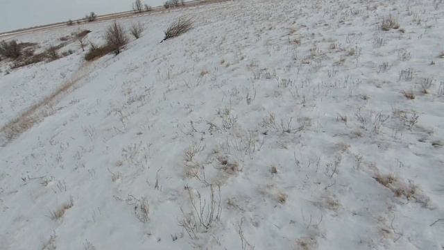 Охота на зайцев  Неожиданный результат, по такому хрусту