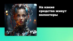 На какие средства живут волонтеры