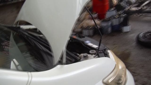 Двигатель NISSAN MR20DE, 2000 куб.см № 064977B смотреть онлайн