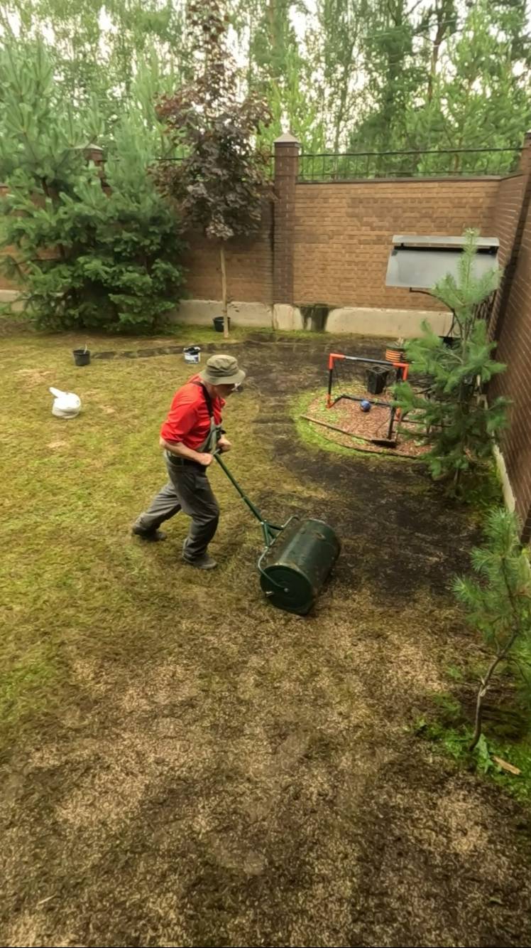 Подсев газона