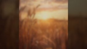 ОСЕННЕЕ РАВНОДЕНСТВИЕ, усиленное ЗАТМЕНИЯМИ 2025