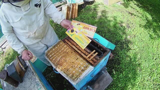 Установка ульевых кормушек и полосок от клеща смотреть онлайн