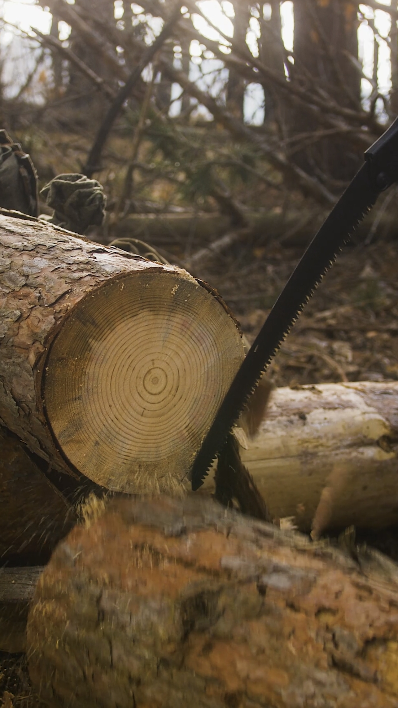 Этот мужик умеет все! смотреть онлайн