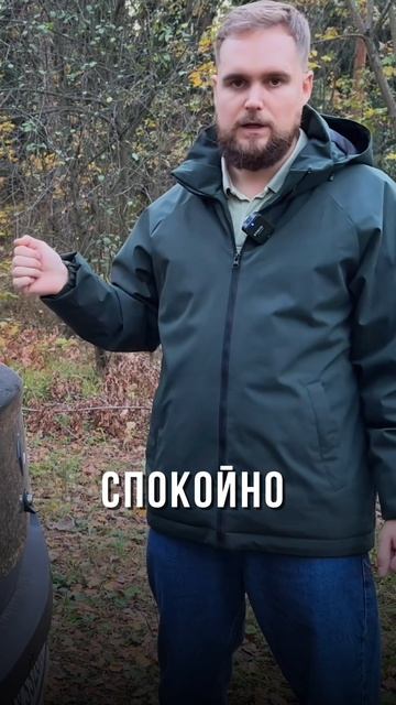 Проверка авто смотреть онлайн