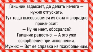 Как королеву разбойники заставили! Сборник свежих анекдотов! Юмор