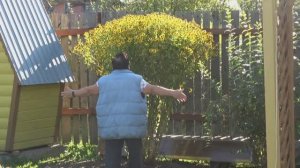 6 соток 15 сентября. 1 часть