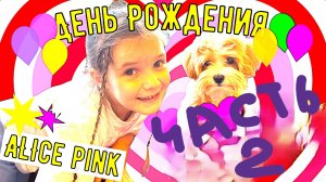 День Рождения Alice Pink. TEIKA BOOM. БАРБИ