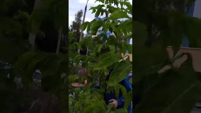 ходим по заросшим трубам