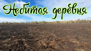 Нашёл больше чем ожидал на распаханном урочище