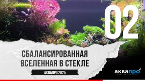 02. Сбалансированная Вселенная в Стекле. #АкваПро