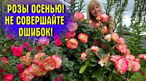 НЕ СОВЕРШАЙТЕ ОШИБОК! УДОЧКИ и ОТЦВЕТШИЕ ПОБЕГИ! Как ПРАВИЛЬНО ОБРЕЗАТЬ РОЗЫ ОСЕНЬЮ!