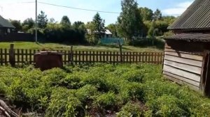 Бетонный пол в овощной яме  24 07 2025