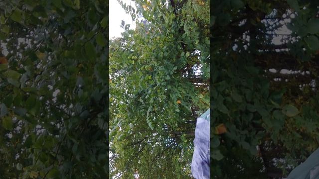 пол это лава вторая часть смотреть онлайн