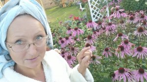 Видео привет с 6 соток 15 сентября 2025 года.