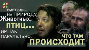 "Смотришь на природу, животных, птиц... Им так параллельно, что там происходит".