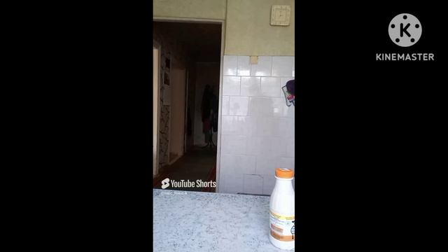 в меня тортик влез 👏