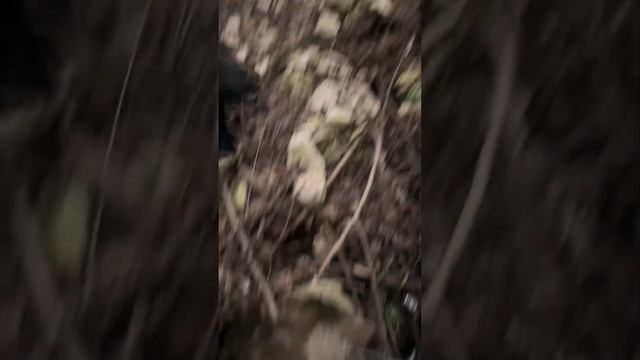 Любая тренировка она полезна смотреть онлайн