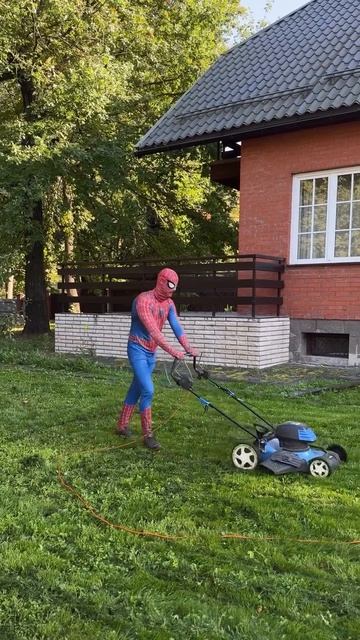 Отношения Питера Паркера (Человека-паука) и Мэри Джейн Уотсон — это сложная история любви, которая н