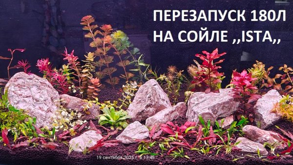 ПЕРЕЗАПУСК 180Л НА СОЙЛЕ ,,ISTA,,