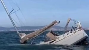 Атака касаток у берегов Португалии попала на видео