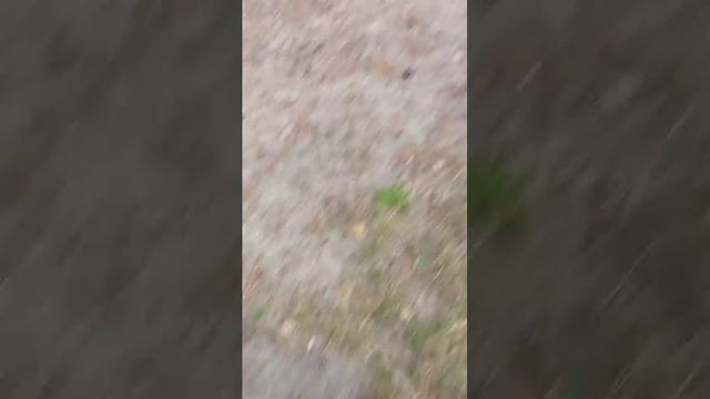 на яльчике с аникой малинкой