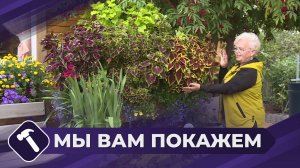 Мы вам покажем: Мобильный сад