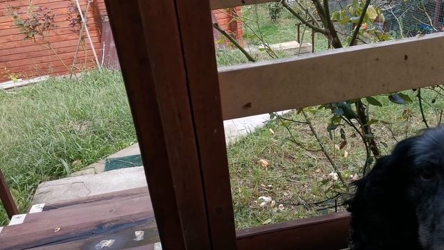 СОЧИ ГОРНОЕ ЛОО ВЕЧЕР 19.09.2025 смотреть онлайн