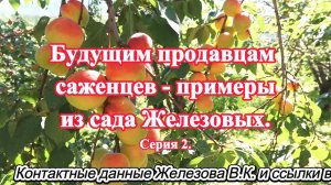 Будущим продавцам саженцев - примеры из сада Железовых. Серия 2.