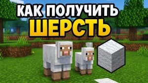 Как получить шерсть в Майнкрафте