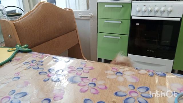 Готовлю рыбные котлеты из минтая смотреть онлайн