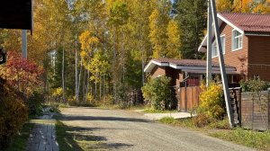 Посадила лук на зелень. Мою теплицы не убирая растений. Разобрали компостник