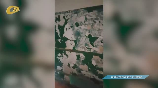 ЖИТЕЛЬНИЦА ДОМА № 84/2 ПО УЛ. КУРСКОЙ ПОЖАЛОВАЛАСЬ НА НЕУДОВЛЕТВОРИТЕЛЬНУЮ РАБОТУ УК смотреть онлайн