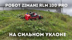 КАК ОН ЭТО ДЕЛАЕТ? Косит на БЕШЕНЫХ УКЛОНАХ!  РОБОТ - МУЛЬЧЕР ZimAni RLM 100 PRO