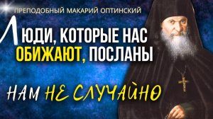 Ситуация, когда нас Обижают, является...Преподобный Макарий Оптинский