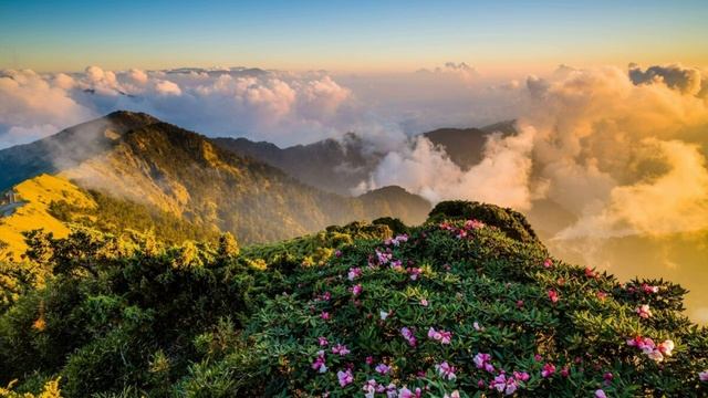 Базовый минимум Sabi & MIA BOYKA (cover By エリザヴェータ・ウスティノワ REMIX)