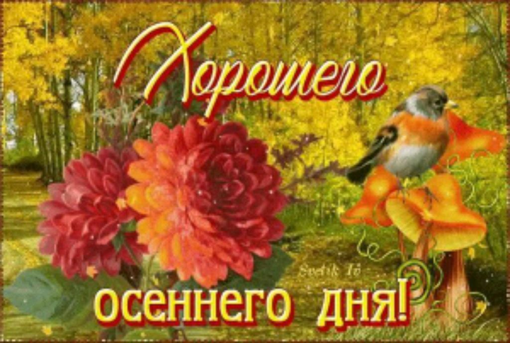 👋🍁🍂😊 смотреть онлайн