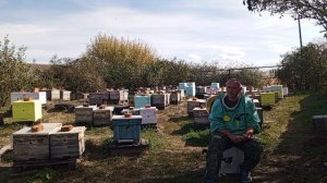 продукция нашей пасеки