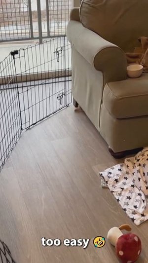 Да легко 😎!))