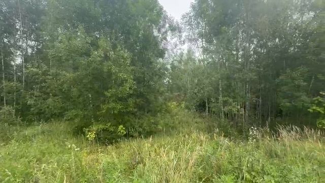 ЗУ :2587 д. Хметьево смотреть онлайн