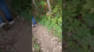 Приключения