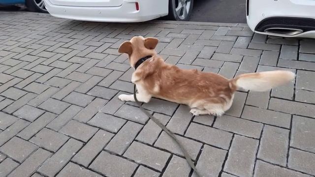 1000087491.mp4 смотреть онлайн